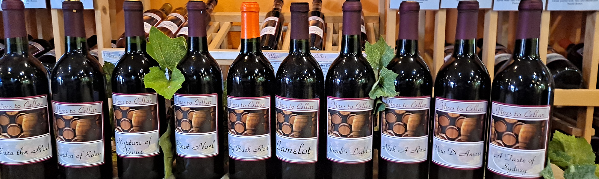 Red Wines | Vines to Cellar Port Washington Winery